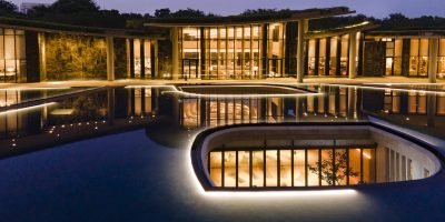 23082663346dlf-camellias